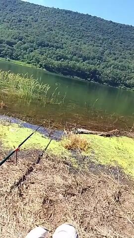 The video shows a body of water with a forested mountain in the background. The water has some green algae or plant growth on the surface near the shore. There are reeds or tall grass growing along the edge of the water. In the foreground, there is dry grass, dirt, and some scattered debris, including what appears to be a discarded cigarette pack and a piece of purple fabric. Two fishing rods are set up near the water's edge. The sky is clear and blue. The camera is angled downwards from a high perspective, possibly showing the feet and legs of the person filming.