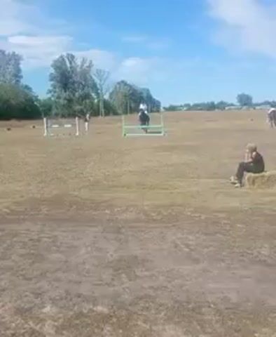 The video shows a horse jumping over an obstacle in a field. A rider is on the horse. There are other horses and people in the background, as well as some jumps set up in the field. The weather appears to be clear and sunny. The ground is covered in dry grass.