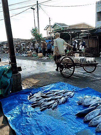 Early morning fish market activity documented in Lhokseumawe