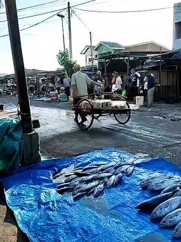 Early morning fish market activity documented in Lhokseumawe