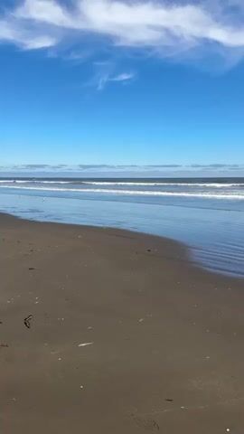 The video shows a wide view of a beach on a sunny day. The sky is blue with scattered white clouds. The ocean has gentle waves rolling towards the shore. The sand on the beach is dark brown and wet near the water, with some footprints and a piece of driftwood visible. The perspective is from the beach, looking out towards the ocean.