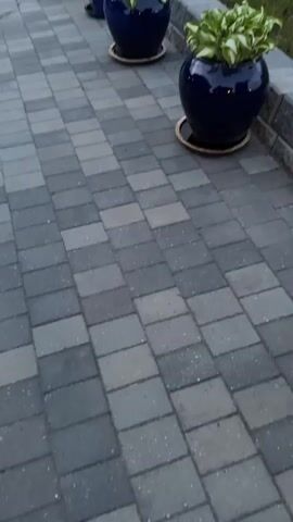 The video shows a paved walkway made of interlocking grey bricks, leading away from the camera. There are several potted plants along the right side of the walkway. The two closest pots are large, dark blue ceramic spheres filled with vibrant green and white hosta plants. These pots sit on round, wooden saucers. Behind them are two smaller, less ornate pots, one dark green and one brown, each containing a plant with more delicate, sparse foliage. To the right of the pots, there is a low retaining wall constructed of grey stone blocks, and beyond that, a strip of green grass. The walkway continues into the background, where it appears to meet a paved driveway or road. A small white boat with a pink stripe is visible on a trailer on the left side of the road in the distance, and several trees and a building are also present in the background. The lighting suggests it is either early morning or late evening, with a soft, diffused light. There are no people visible in the video.