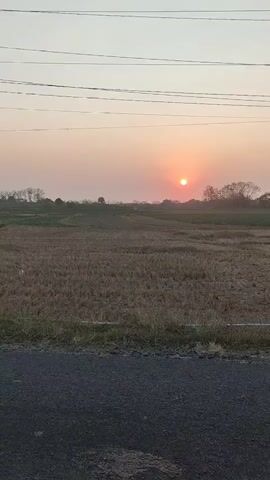 The video shows a field with harvested crops under a sky with the sun setting or rising. The sun is a bright orange circle near the horizon. Power lines are visible in the upper portion of the frame. A road is in the foreground. The overall scene is rural and serene.