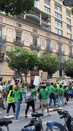 Protesters in green, yellow march through Valencia streets