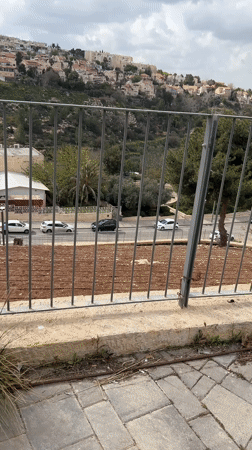 Casual Jerusalem moments captured across city neighborhoods and parks