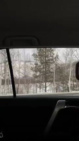 From the rear passenger seat of a moving vehicle, the scenery outside is visible through the window. The landscape is wintry, with snow covering the ground and trees lining the roadside. The branches of the trees are bare, suggesting it is either late fall or winter. There is a building visible in the background, and a hill or small mountain can be seen in the distance. The interior of the car is dark, with the seat, window frame, and handles visible. The overall tone is neutral, capturing a glimpse of a winter landscape from within a moving car.