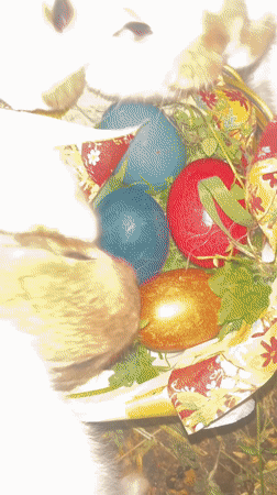 Easter celebration with rabbit and colored eggs in Lozarevo