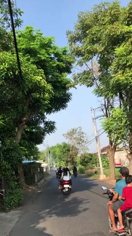 The video shows a paved road lined with trees on both sides. The trees are lush and green, and their branches meet overhead, creating a canopy. The sky is clear and blue. Several people are riding motorcycles on the road. On the right side of the road, a person in a blue shirt and another person in a red shirt are riding a motorcycle. They are facing away from the camera and towards the direction of travel. In the distance, more people on motorcycles are visible, also traveling in the same direction. The environment appears to be a rural or suburban area with houses and vegetation visible in the background. The lighting suggests it is daytime, likely mid-morning or afternoon given the angle of the sun creating shadows on the road.