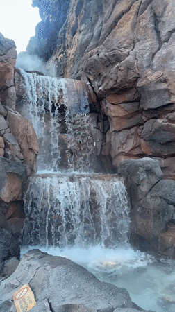 Evening crowds gather at Disney Springs Rainforest Cafe