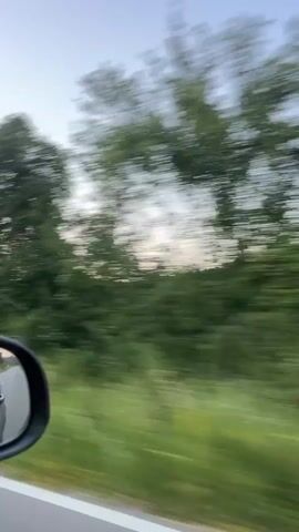 This is a short video clip filmed from the perspective of a passenger in a moving vehicle, likely a car, looking out the side window and into the side mirror. The scene is dominated by a blur of green foliage from trees and bushes, indicating a natural, possibly rural or suburban setting. The movement of the vehicle creates a motion blur effect, making the trees appear streaky and the sky a pale, washed-out blue, suggesting it might be late afternoon or early morning. The side mirror shows a glimpse of the car's interior and potentially another vehicle behind, though it's largely obscured by the blur. There is no visible text or discernible activity beyond the act of traveling. The overall impression is one of a casual journey through a green, possibly wooded, landscape.