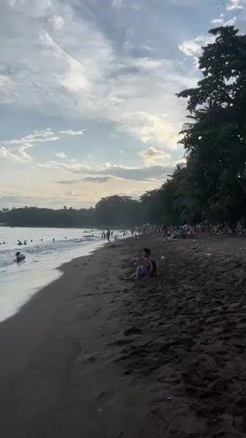 The video shows a crowded beach with dark sand. The ocean is calm with gentle waves. Many people are swimming and playing in the water. Some people are sitting on the sand, and a lone person is walking towards the water. Lush green trees line the edge of the beach. The sky is partly cloudy with a soft, hazy light suggesting it might be late afternoon or early morning.