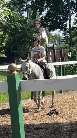 A person wearing a black riding helmet and a light-colored t-shirt with text that reads "CAPYBARA FANCLUB" is riding a grey horse. The horse has a dark halter and bridle. The person is wearing riding breeches and boots. They are seated in a saddle with a blue and black saddle pad underneath.

The scene appears to be a fenced-in riding arena, with a white fence in the foreground and a green post with a decorative gold ball on top. The ground within the arena is covered in wood chips or mulch. Beyond the fence, there is green grass and trees. In the background, there is a residential building with a red roof and a yellow truck. The sun is shining brightly, suggesting it is daytime, likely late morning or early afternoon. The overall atmosphere seems calm and peaceful, indicating a casual riding session or lesson. The location is identified as Pavlovsk, Russia.