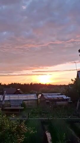 The video shows a rural landscape at sunset. The sky is filled with pink and purple clouds, and the sun is visible on the horizon, casting a warm glow over the scene. In the foreground, there are several small buildings, likely greenhouses or sheds, and some vegetation. The overall atmosphere is peaceful and serene.
