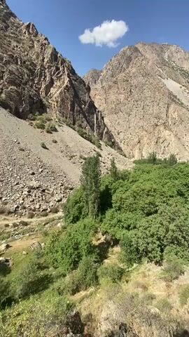 The video shows a mountainous landscape with steep, rocky slopes under a clear blue sky with a few scattered white clouds. In the foreground, there is dry, grassy terrain and rocks. A dense area of lush green trees and vegetation is visible in the middle ground, nestled within the valley. Tall, rugged mountains dominate the background, with scree slopes and exposed rock faces. The lighting suggests it is daytime, likely mid-morning or afternoon, with the sun casting shadows across the terrain. There are no people or animals visible in the video, and no discernible actions or interactions are taking place. The overall environment is rugged and natural, indicative of a remote mountain region.