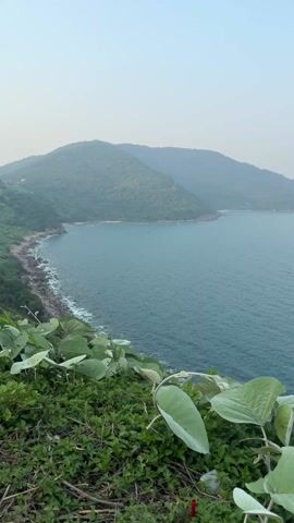 The video shows a panoramic view from a high vantage point overlooking the sea and a coastline with rocky edges and forested hills. Lush green vegetation is visible in the foreground. As the camera zooms in, a small boat with a blue cover and a red flag appears on the water. The sea is calm with gentle ripples. The overall atmosphere is serene, with a slightly hazy sky.