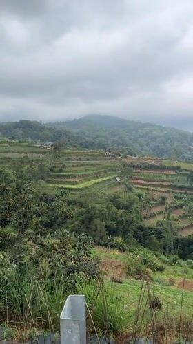 Morning documentation of Baturiti farmland and local food display