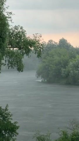 The video shows a wide shot of a body of water, likely a lake or river, during a rainstorm. The water's surface is rippled by the falling rain, creating a textured, grey appearance. Dense green foliage lines the banks of the water body, with trees forming a thick canopy that extends into the distance. In the foreground, branches of a large tree hang down, partially obscuring the view of the water. The sky above is overcast, with hints of pale pink and orange suggesting a sunrise or sunset, though the overall lighting is subdued due to the rain and clouds. The scene conveys a sense of natural tranquility and the raw power of weather.