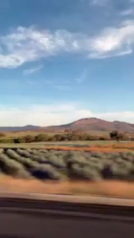 The video depicts a view from a moving vehicle of a rural landscape, possibly farmland, under a blue sky with scattered clouds. The foreground features rows of what appear to be crops, blurred by motion. In the distance, a small mountain or hill is visible against the horizon. As the vehicle continues, trees and buildings pass by quickly, and utility poles become visible. The overall scenery is of a countryside setting with a combination of agricultural fields and natural elements.
