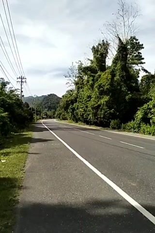 The video depicts a paved road stretching straight into the distance, bisected by a solid white line. The roadside is bordered by lush green vegetation on both sides. Utility poles and power lines run alongside the road on the left. A yellow truck followed by a silver car drives away from the viewer into the distance. The sky overhead is overcast. A mountain is visible in the distance.