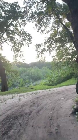 The video captures a view of a dirt path in a wooded area. Large trees with green foliage dominate the foreground, framing the scene. The sunlight filters through the leaves, creating dappled patterns. In the background, a dense green forest stretches towards a bright sky. The camera pans slowly across the landscape, offering a serene and natural view.