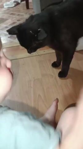 A black cat stands on a wooden floor, facing a baby who is sitting on the floor. The baby is wearing a light blue t-shirt and is positioned in the foreground of the video, with their back to the camera. The cat is looking down at the baby, and its body is angled towards the baby. The baby's right foot is visible in the lower right corner of the frame. The environment appears to be indoors, with a tiled floor visible in the background. The lighting is dim. The video is short, approximately 4 seconds long.