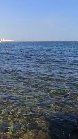 The video begins with a view of the ocean from a rocky shore. The water is clear and blue, and the seabed is visible. In the distance, there are buildings on the coast and a clear sky. As the video progresses, the camera pans to the right, revealing more of the rocky coastline. People appear near the water's edge, some sitting on the rocks and others wading in the water. Further to the right, there is a structure with a white railing, possibly a small pier or seating area. Two individuals are standing on this structure, one holding flags, one a green and the other a red one. Another person is seated under an umbrella near the structure. The waves gently lap against the rocks, and the overall atmosphere appears to be a calm and sunny day at the beach.