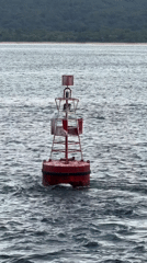 Red buoy spotted floating off Indonesia coast
