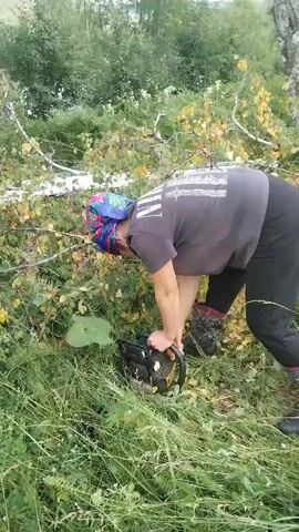A person wearing a grey t-shirt, black leggings, and a colorful headscarf is shown operating a yellow and black chainsaw. The person is in a crouched position, with their back towards the camera, and appears to be cutting through branches. The surrounding environment consists of tall green grass and trees with yellowing leaves, suggesting an outdoor setting, possibly a forest or wooded area. The chainsaw is positioned on the ground, with the person's hands on the handles. The action appears to be in progress.
