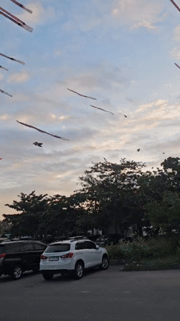 Daily life unfolds across Denpasar: kites, beaches, families
