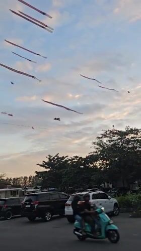 Daily life unfolds across Denpasar: kites, beaches, families