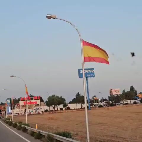 The video shows a roadside view of a gas station area in Spain. A Spanish flag flies on a flagpole in the foreground. In the background, there is a Mahou beer sign, a "moeve" billboard, and other signs and structures indicating a service area. There are also trees, dry grass, and a road with a guardrail. The sky is clear and light blue.