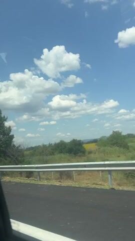 A video captures a passing view from a vehicle on a sunny day. The scene includes a bright blue sky with scattered white clouds, a green tree on the left side, a fence, and a vast field of sunflowers stretching into the distance on the right. The road surface is visible in the foreground.