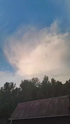 The video pans across a sky with scattered clouds, transitioning from a bright blue expanse with wispy white clouds to a section of hazy, pale yellow light. Below the sky, the dark silhouettes of trees and the tops of houses are visible. One house has a reddish-brown roof, and another appears to have a grey roof. The foliage is dense and dark green. The overall impression is of a somewhat overcast sky, possibly at dawn or dusk.