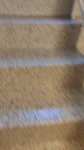The video shows a close-up, blurry view of carpeted stairs with blue and white stripes. The camera then pans up to a tiled floor and a wall with a speckled texture. Finally, it shows a window with a view of trees outside. The lighting appears to be natural, coming from the window. There are no people or discernible actions in the video.