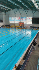 Swimming competition underway at Istanbul indoor pool facility