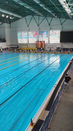 Swimming competition underway at Istanbul indoor pool facility