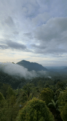 Foggy sunrise over forested mountains captured in Sawan, Indonesia