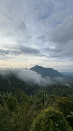 Foggy sunrise over forested mountains captured in Sawan, Indonesia