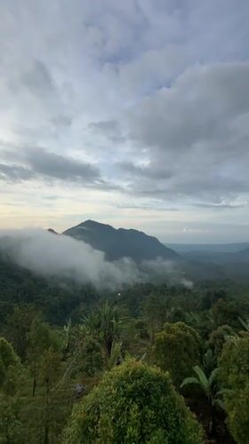 Foggy sunrise over forested mountains captured in Sawan, Indonesia