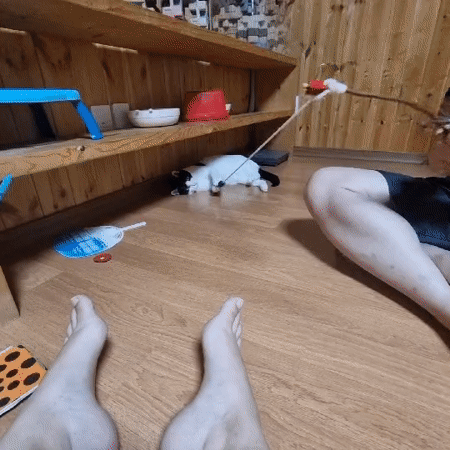 Toddler and cat share a relaxed morning at home