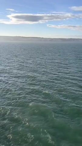 A wide-angle video shows a view of the ocean from an elevated perspective. The water is a deep blue-green and appears choppy with whitecaps. The sun is shining brightly, casting a glint on the water's surface. In the distance, a hazy coastline is visible under a bright blue sky with scattered white clouds. In the lower left corner, some of the choppy water is closer to the viewer, with white foam from waves crashing. In the middle of the frame, several small, dark shapes are visible just above the water's surface, suggesting the presence of marine life, possibly dolphins.