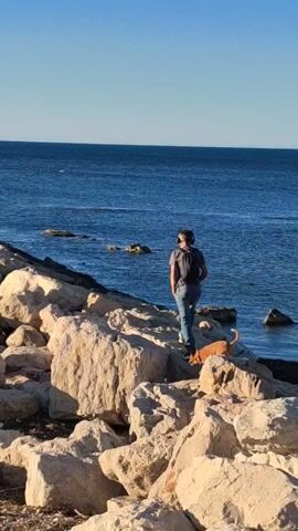 A man with a backpack and headphones stands on large rocks overlooking the ocean, accompanied by a brown dog. The sky is clear blue. The man is dressed in jeans and a dark-colored shirt. The ocean is a deep blue with scattered rocks in the water. The rocks the man and dog stand on are large and light-colored. The scene is captured in a static, medium shot.