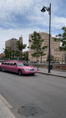Pink limousine spotted driving through Málaga streets