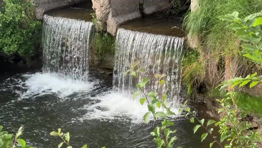 This media file shows a close-up of a small, man-made waterfall with two distinct cascades. The water flows over a concrete structure, possibly a small dam or spillway, into a dark, reflective body of water below. Lush green foliage, including leaves and grass, frames the scene, suggesting an outdoor natural setting. Some of the greenery is in the foreground, slightly obscuring the view of the waterfalls, and other greenery is on the banks behind them. The water appears clear and is creating white foam and turbulence where it hits the pool. The lighting suggests it is daytime, with no specific indicators of time of day or weather conditions. The scene is tranquil and serene, with the sound of the falling water implied. There is no visible text in the media file. The location context provided is Ilnytsia, Ukraine, which would place this naturalistic scene within that geographical area.