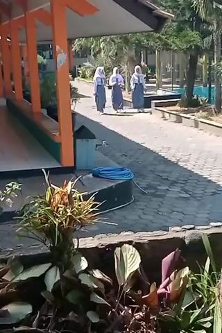 The video shows three young people wearing school uniforms, consisting of white long-sleeved shirts, grey skirts, and white hijabs, walking away from the camera on a paved walkway. They are walking alongside a building with orange and green accents and a covered walkway. In the foreground, there are plants and foliage. To the right of the walkway, there is a swimming pool and trees. A blue coiled hose is visible on the walkway near a blue trash can. The lighting suggests it is daytime with bright sunlight. The overall environment appears to be a school campus.