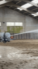 Equestrian facility maintenance and horse activity in Estaimpuis