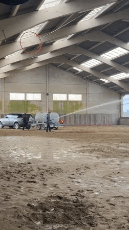Equestrian facility maintenance and horse activity in Estaimpuis