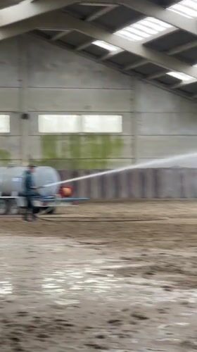 Equestrian facility maintenance and horse activity in Estaimpuis