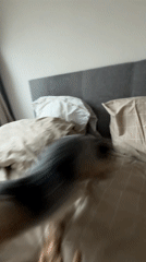 Quiet domestic moments captured in Khimki homes and transport