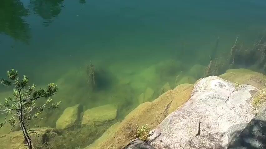 The video opens with a close-up view of the clear, greenish water of a lake, showing rocks and aquatic plants beneath the surface. The camera then pans out to reveal a wider shot of the lake, surrounded by lush green trees and a mountainous landscape. The water's surface reflects the surrounding trees and the bright blue sky, indicating a sunny day.

As the camera continues to pan, a sandy beach and a small group of people enjoying the water can be seen along the far shore. Some individuals are wading into the lake, while others are relaxing on the beach. The overall atmosphere appears peaceful and recreational, suggesting a pleasant summer day. The presence of trees and the general scenery suggest a natural, possibly mountainous, location. Given the prompt's location context, this could be a lake in Drammen, Norway. The time of day is clearly daytime, indicated by the bright sunlight and clear sky. There is no visible text in the video.